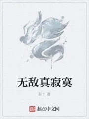 《无敌真寂寞》小说封面